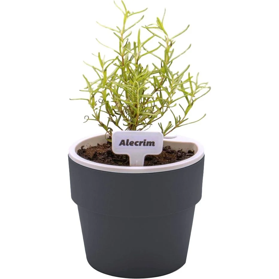 cristaleira 1 porta graça candian